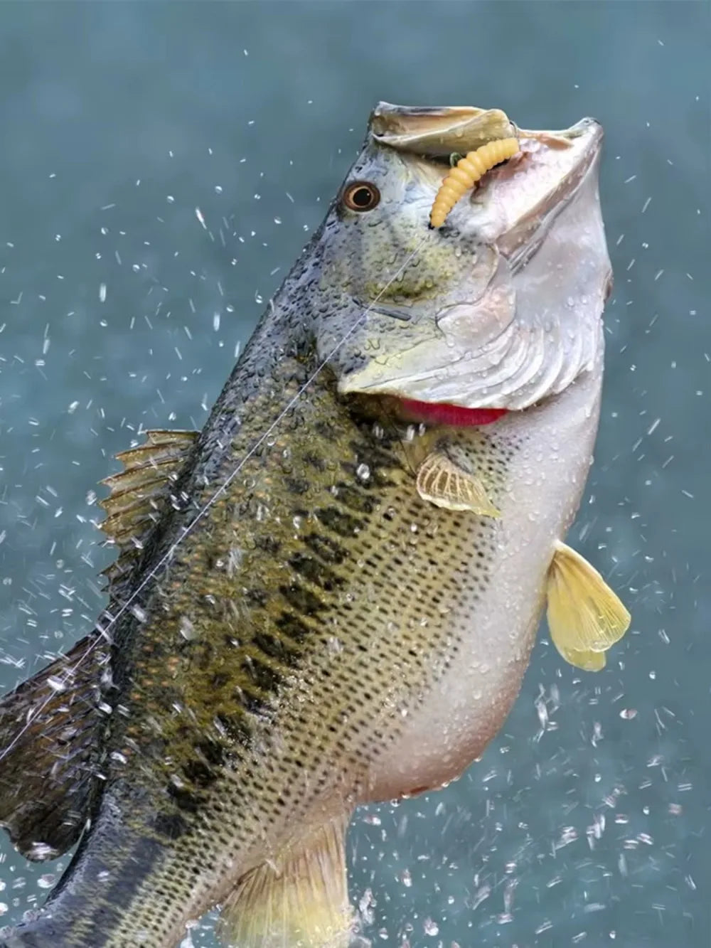 Leurre Souple Vers Artificiel 2cm - AppĂąt RĂ©aliste 0.4g â OUTILS DE PECHE â Oceanis Gear