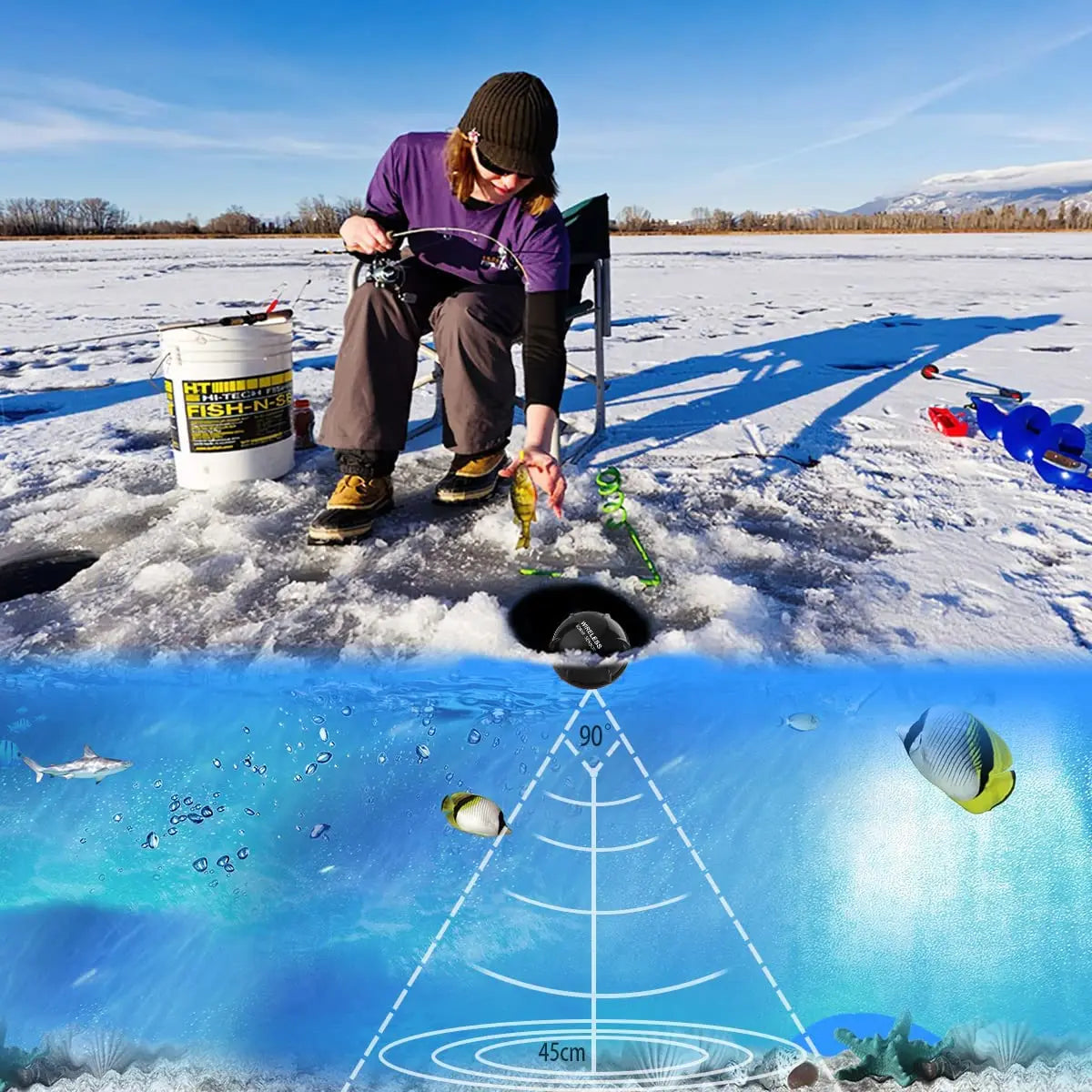 Détecteur Poisson Sonar Sans Fil - Écran LCD Portée 100m – DETECTEURS DES POISSONS – Oceanis Gear