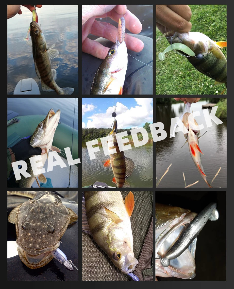 Leurres Souples Carpe Silicone - Lot 10 Pièces Multi-Tailles – Leurres de pêche – Oceanis Gear