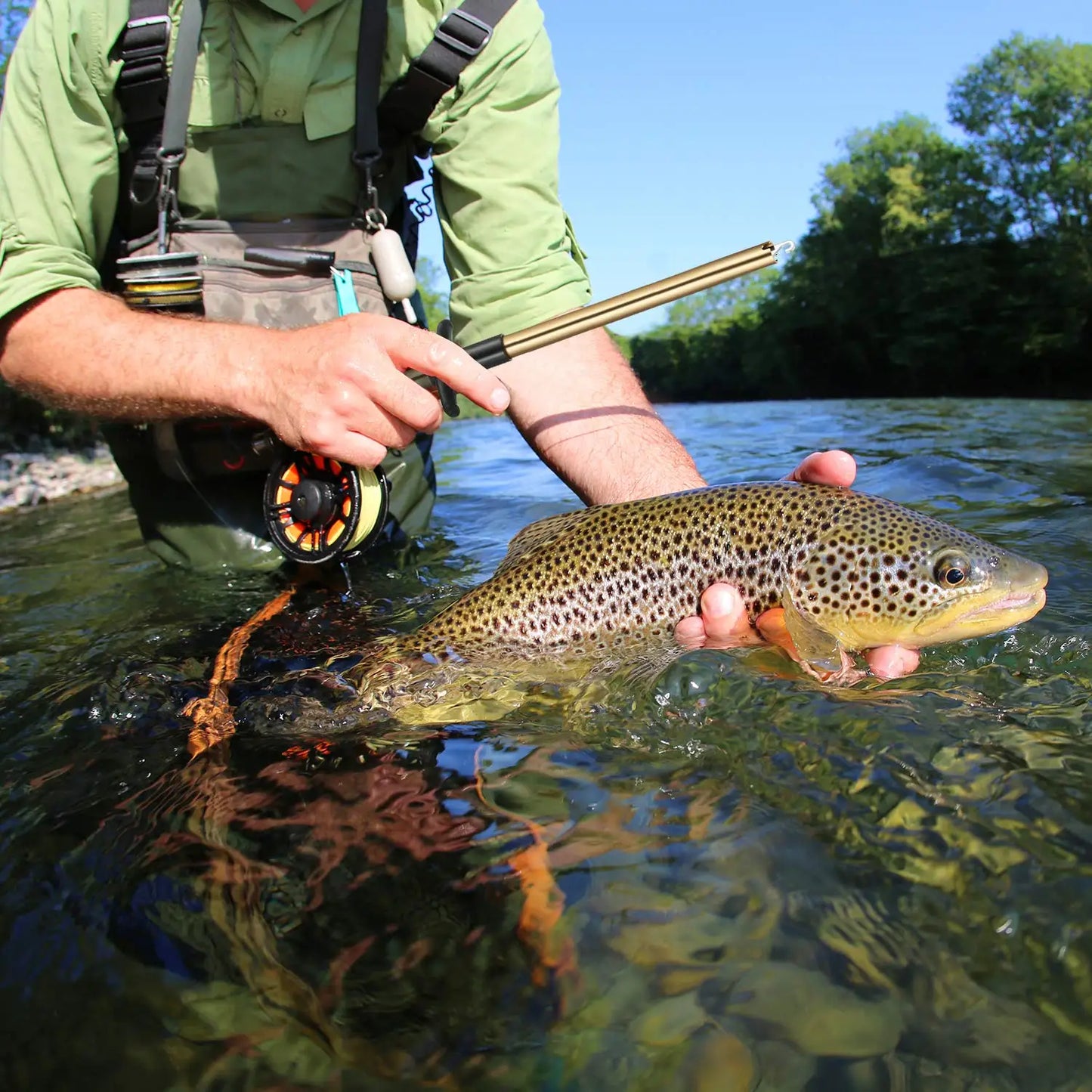 Retire-hameçon en forme de T. – OUTILS DE PECHE – Oceanis Gear