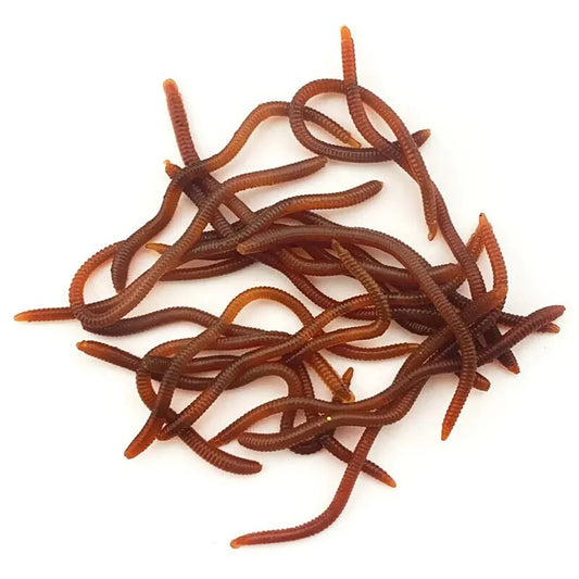 Leurres Souples Parfumés - Vers Artificiels Odeur Poisson – Accessoire de pêche – Oceanis Gear