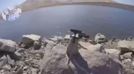 Retire-hameçon en forme de T.