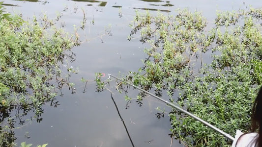 Filet de Pêche Automatique Pliable – Multi-Entrées