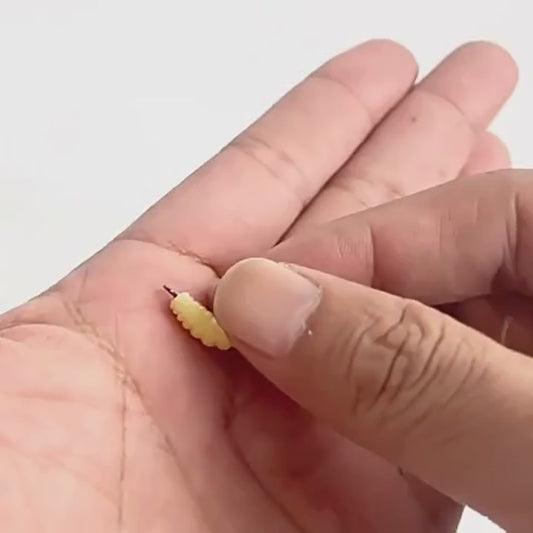 Appâts Asticots Souples en Silicone